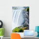 Horseshoe Fall, Niagara Falls, Ontario, Canada Wall Mural
