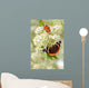 Schmetterling 126 Wall Decal