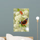 Schmetterling 126 Wall Decal