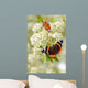 Schmetterling 126 Wall Decal