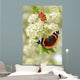 Schmetterling 126 Wall Decal