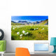 Landmannalaugar Amazing Flower Field Wall Decal