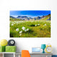 Landmannalaugar Amazing Flower Field Wall Decal