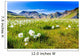 Landmannalaugar Amazing Flower Field Wall Decal