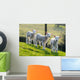 Spring Lambs Wall Decal