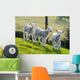 Spring Lambs Wall Decal