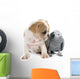 Parrot and Puppy Wall Decal