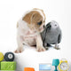 Parrot and Puppy Wall Decal