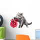 Alarmingly Adorable Kitten Wall Decal