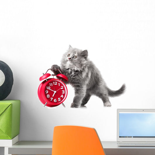 Alarmingly Adorable Kitten Wall Decal