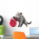 Alarmingly Adorable Kitten Wall Decal
