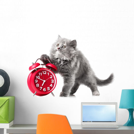 Alarmingly Adorable Kitten Wall Decal