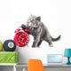 Alarmingly Adorable Kitten Wall Decal