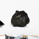 Black Guinea Pig Wall Decal