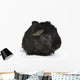 Black Guinea Pig Wall Decal
