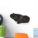 Black Guinea Pig Sniffing Wall Decal