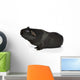 Black Guinea Pig Sniffing Wall Decal
