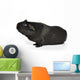 Black Guinea Pig Sniffing Wall Decal