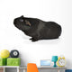 Black Guinea Pig Sniffing Wall Decal