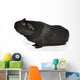 Black Guinea Pig Sniffing Wall Decal