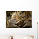 Grotte Han Sur Lesse Wall Decal