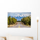 Landscape with Humphreys Peak Wall Decal
