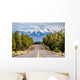 Landscape with Humphreys Peak Wall Decal