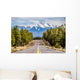 Landscape with Humphreys Peak Wall Decal