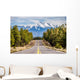 Landscape with Humphreys Peak Wall Decal