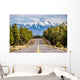 Landscape with Humphreys Peak Wall Decal