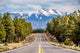 Landscape with Humphreys Peak Wall Decal