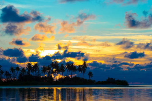 Dark silhouettes of palm trees and amazing cloudy sky at sunset Wall Mural