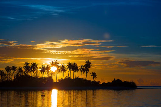 Dark silhouettes of palm trees and amazing cloudy sky at sunset Wall Mural