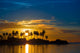 Dark silhouettes of palm trees and amazing cloudy sky at sunset Wall Mural