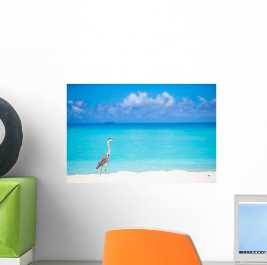 Grey heron standing on white beach on Maldives island Wall Mural