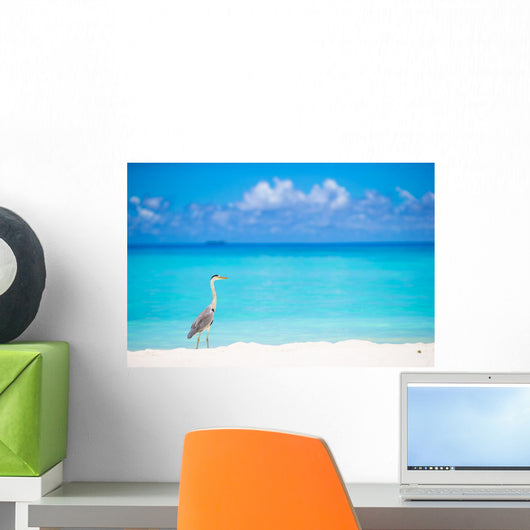 Grey heron standing on white beach on Maldives island Wall Mural
