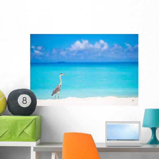 Grey heron standing on white beach on Maldives island Wall Mural