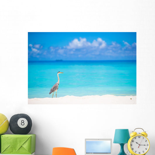 Grey heron standing on white beach on Maldives island Wall Mural