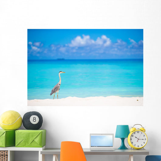Grey heron standing on white beach on Maldives island Wall Mural