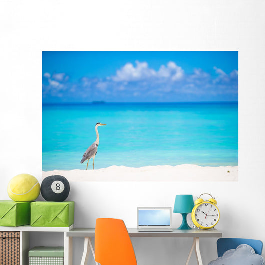 Grey heron standing on white beach on Maldives island Wall Mural