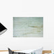 Baby shark in shallow water at Maldives Wall Mural