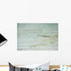 Baby shark in shallow water at Maldives Wall Mural