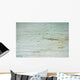 Baby shark in shallow water at Maldives Wall Mural