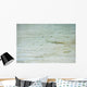 Baby shark in shallow water at Maldives Wall Mural
