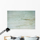 Baby shark in shallow water at Maldives Wall Mural