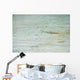 Baby shark in shallow water at Maldives Wall Mural