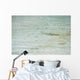 Baby shark in shallow water at Maldives Wall Mural