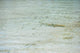 Baby shark in shallow water at Maldives Wall Mural