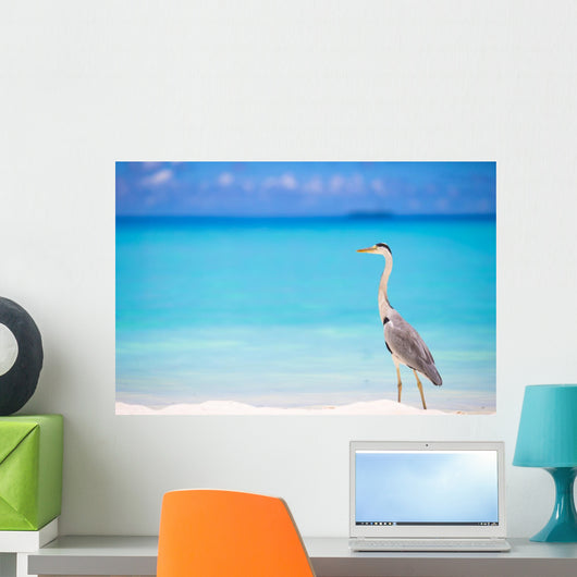 Grey heron standing on white beach on Maldives island Wall Mural