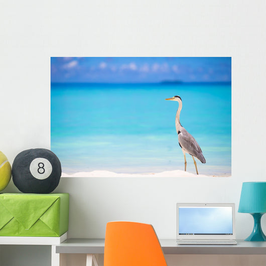 Grey heron standing on white beach on Maldives island Wall Mural